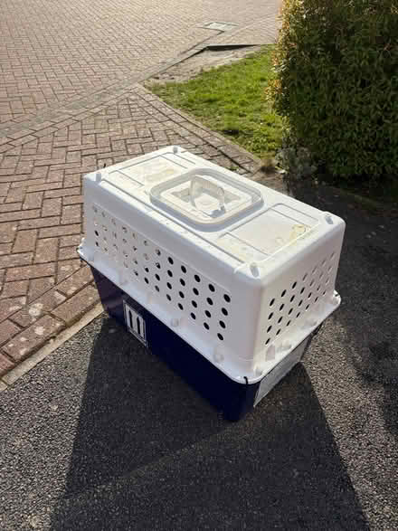 Photo of free PP40 small animal crate (Bingham, NG13) #2