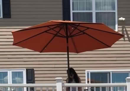 Photo of free Umbrella (Flemington) #1