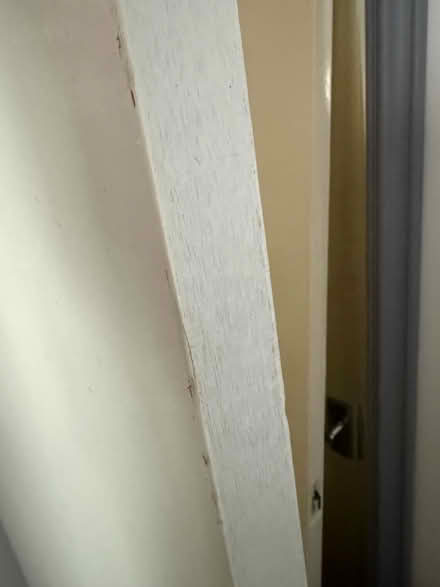 Photo of free Doors (Leighton Buzzard LU7 3) #2