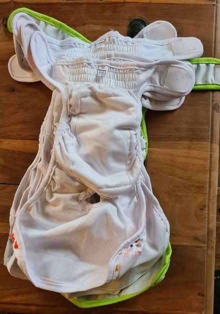 Photo of free Reusable dog nappies (medium size) (Ysceifiog CH7) #2