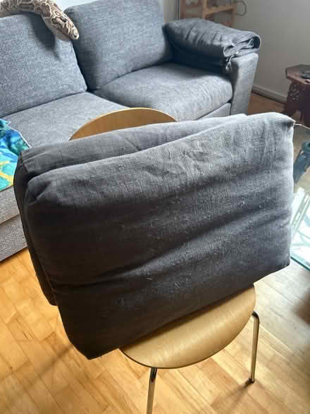 Photo of free Large sofa pillows with cover (Plaistow E13) #1