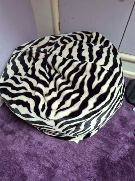 Photo of free Furry zebra print Beanbag (Ashton Gate BS3) #1