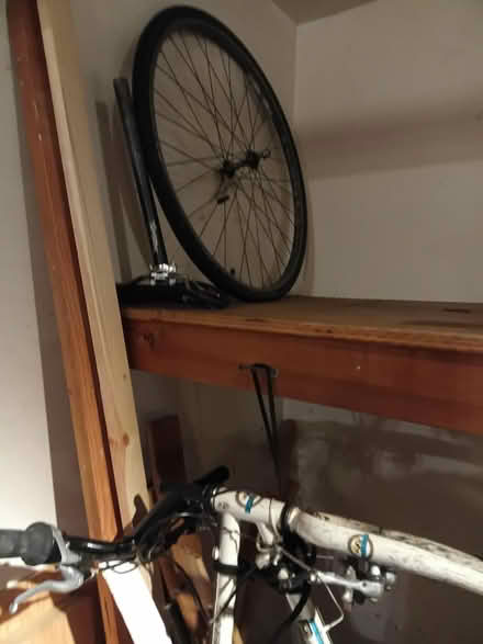 Photo of free Yokoda Bike (Shoreline) #2