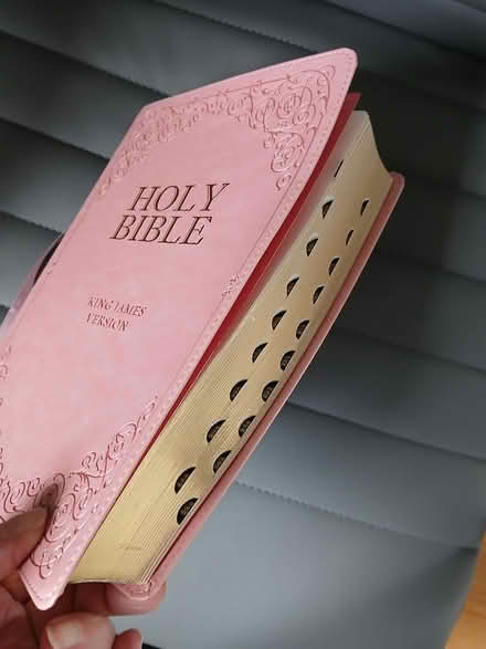 Photo of free Bible (Woodridge-near 75th and Janes) #2