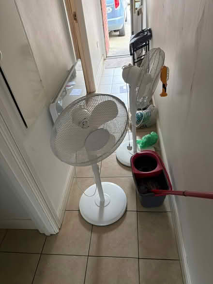 Photo of free Fans (W130nd) #1