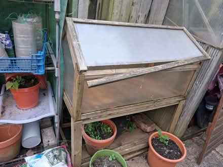 Photo of free Small greenhouse (Rhiwbina CF14) #3