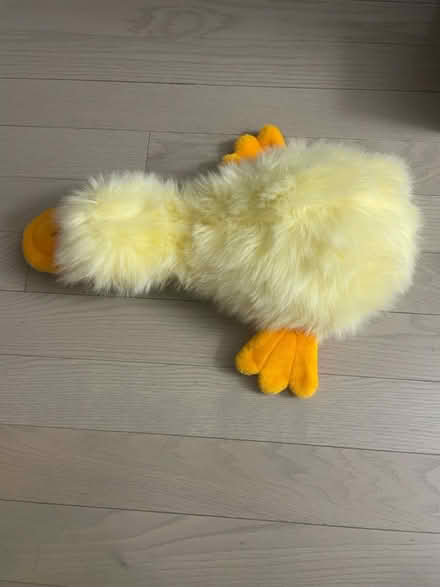 Photo of free platypus plush (Kennedy/16th in Markham) #2