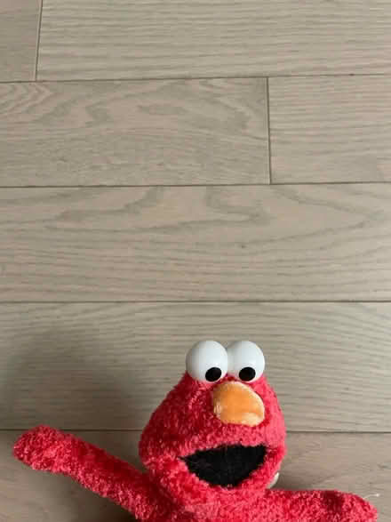 Photo of free Small Elmo plush (Kennedy/16th in Markham) #2
