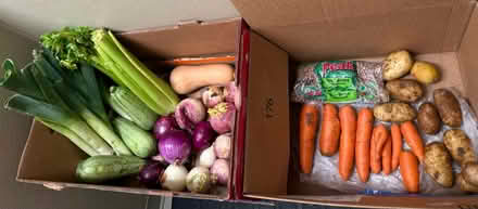 Photo of free Vegetables & pinto beans (1075 Valencia Avenue) #1
