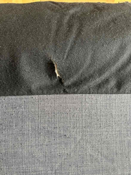 Photo of free Large sofa pillows with cover (Plaistow E13) #4