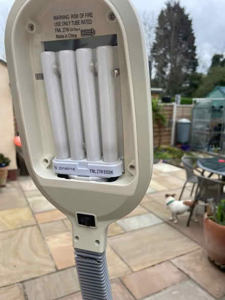 Photo of free Craft Lamp (Latchford WA4) #3