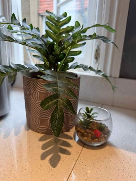 Photo of free 2 fake plants (Chiswick W4) #1