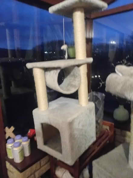 Photo of free Cat tower (Rochdale/Manchester) #3