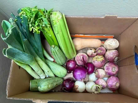 Photo of free Vegetables & pinto beans (1075 Valencia Avenue) #3