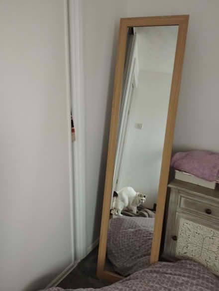 Photo of free Full length mirror (Brightlingsea CO7) #2