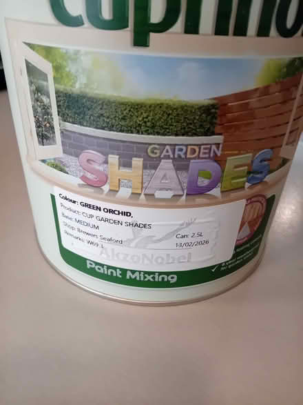Photo of free Pale green garden paint (Cliffe BN7) #2