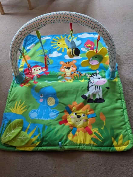 Photo of free Baby Play Mat (Caversham Park RG4) #1