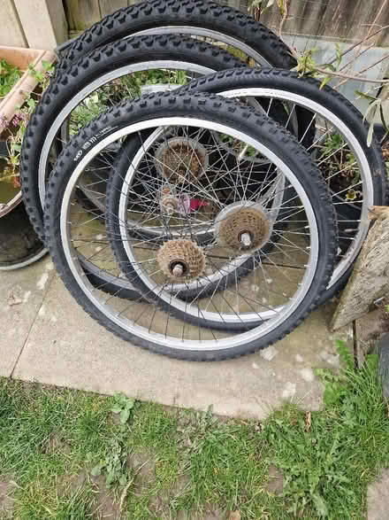 Photo of free 3-4 adult bike wheels (Wigmore HR6) #1