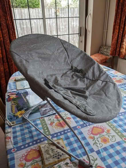 Photo of free baby bounce seat (Caversham Park RG4) #1