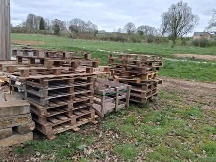 Photo of free Pallets (Woodbrook HR5) #1