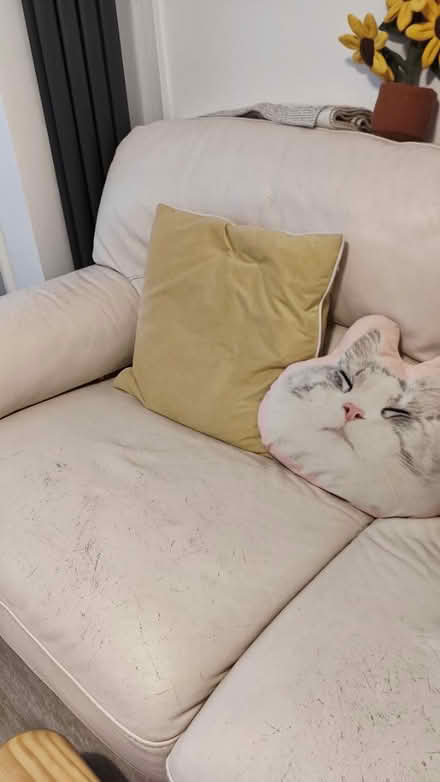 Photo of free 2-Seat Creamy Leather Sofa (L14) #2