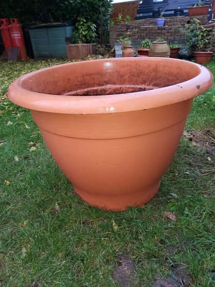 Photo of free Huge Plastic Flower Pot (Marks Tey CO6) #1