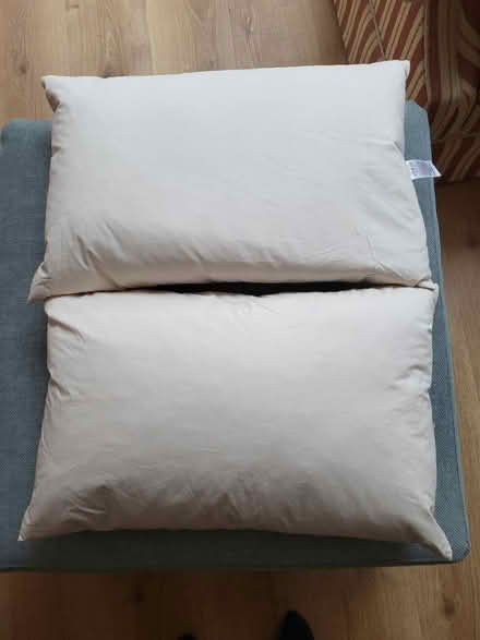 Photo of free Brand New feather cushion pads (Sidcup DA15) #1