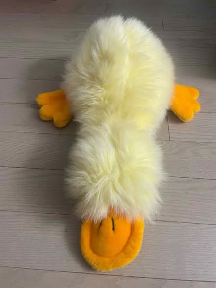 Photo of free platypus plush (Kennedy/16th in Markham) #1