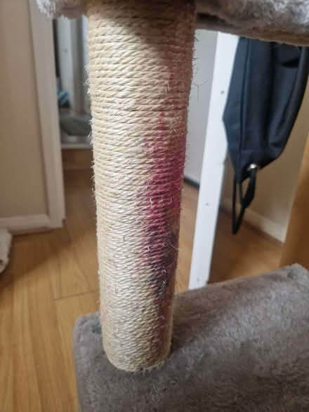 Photo of free Cats tree (N15 west green road) #2