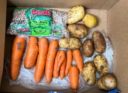 Photo of free Vegetables & pinto beans (1075 Valencia Avenue) #4