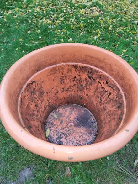 Photo of free Huge Plastic Flower Pot (Marks Tey CO6) #2