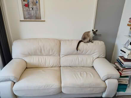 Photo of free 2-Seat Creamy Leather Sofa (L14) #1