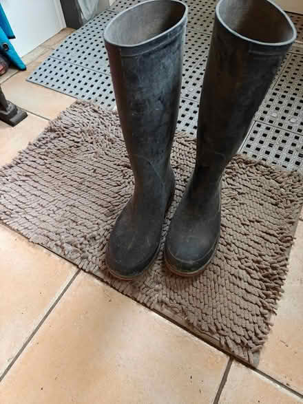 Photo of free Wellington boots (Warrington WA5) #1