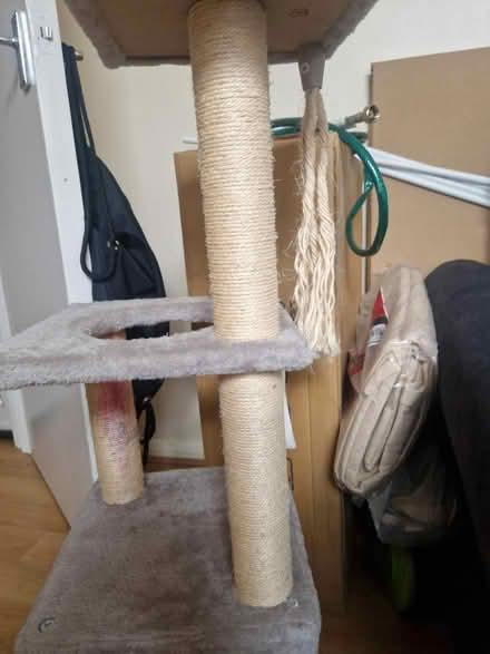 Photo of free Cats tree (N15 west green road) #3