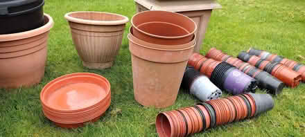 Photo of free Garden pots (North Ascot SL5) #2