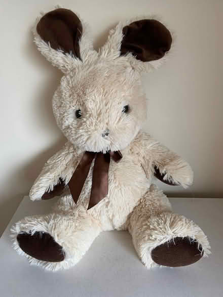Photo of free Large cuddly bunny (RG14) #1