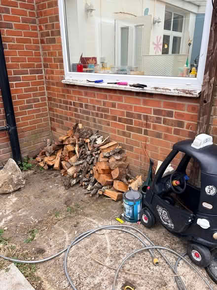 Photo of free Pile of dried wood (Cowplain PO8) #1