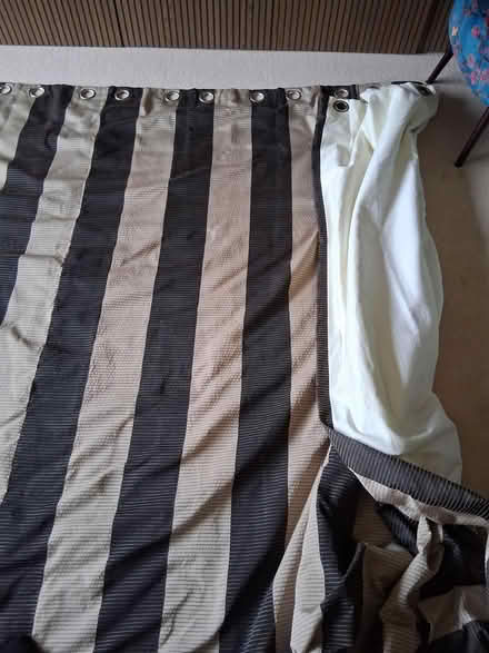 Photo of free Large lined curtains (Walkern SG2) #1