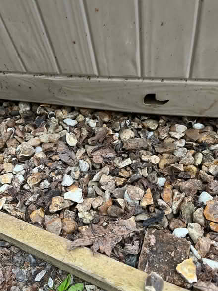 Photo of free Ketter garden storage seat (Colyford EX24) #3