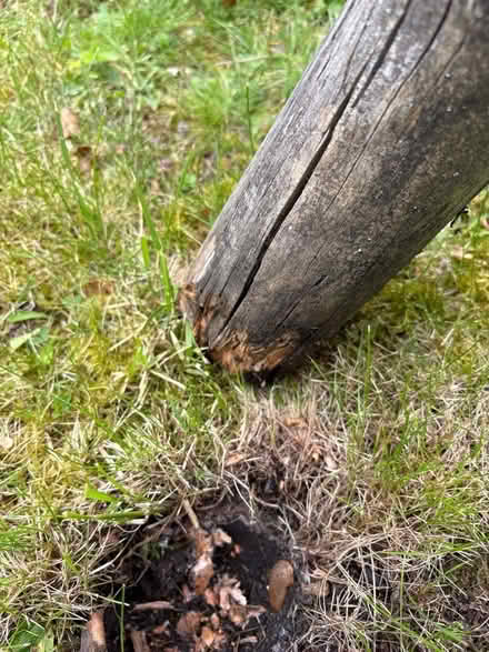 Photo of free Swing (North Ascot SL5) #3