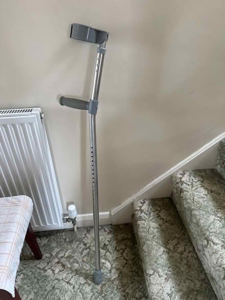 Photo of free One crutch (Bromham) #1
