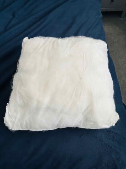 Photo of free Cushion insert (High Wycombe HP10) #1