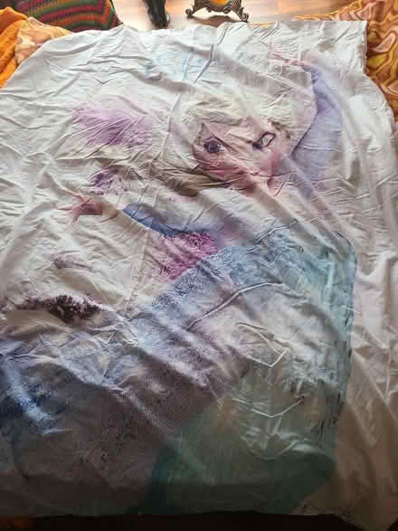 Photo of free Elsa bedding 100% cotton (Cosham PO6) #1