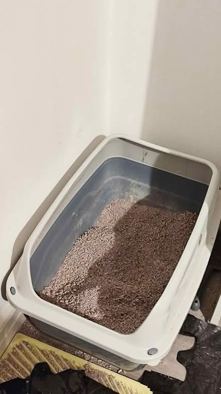 Photo of free Cat Litter Box + Litter Scoop (L14) #1