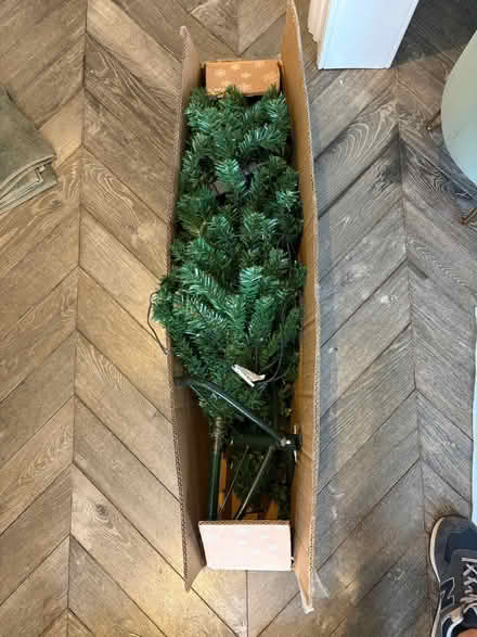 Photo of free Xmas tree (Primrose Hill) #2