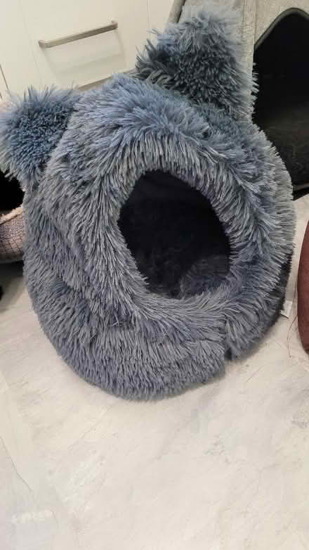 Photo of free 4 cat beds (Turves Green B31) #3