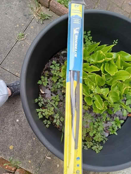 Photo of free Single wiper (Latchford) #1