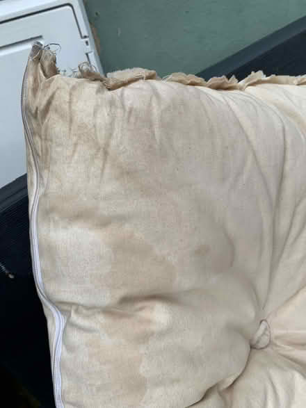 Photo of free Horse hair? small mattress (Ringwood BH24) #3