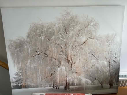 Photo of free Large painted canvass (Chorley PR7 1) #1