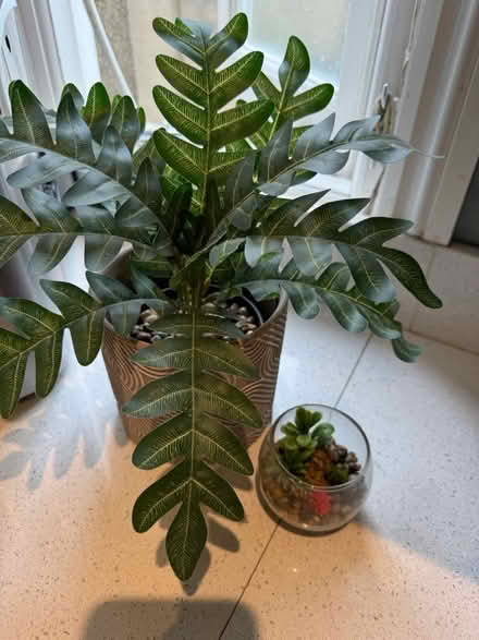 Photo of free 2 fake plants (Chiswick W4) #2